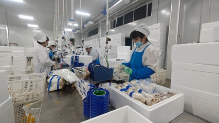 安圖生物 鉚足干勁抓生產(chǎn)，奮力沖刺生物制品“開(kāi)門紅”